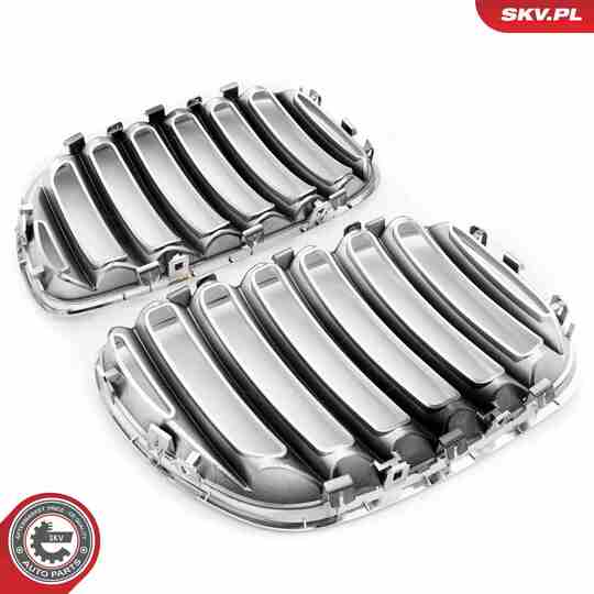 66SKV279 - Radiator Grille 