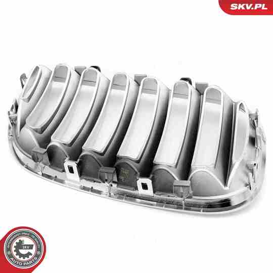 66SKV279 - Radiator Grille 