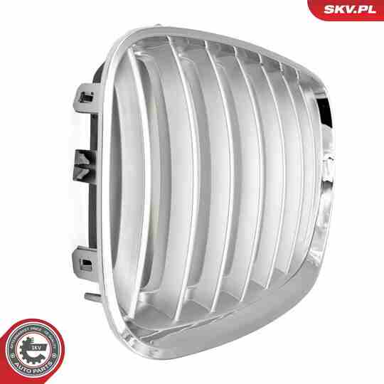 66SKV279 - Radiator Grille 