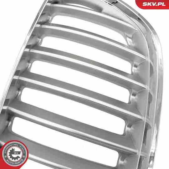 66SKV279 - Radiator Grille 