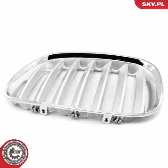 66SKV279 - Radiator Grille 