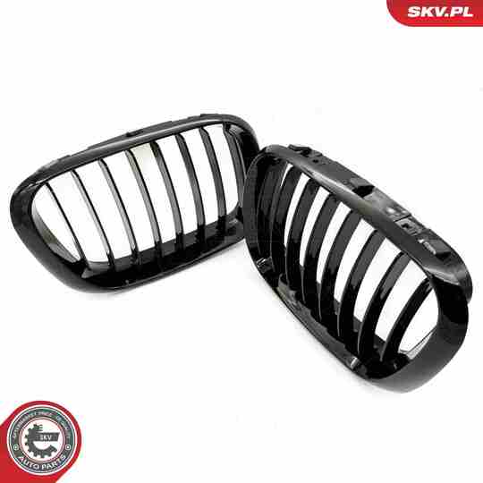 66SKV270 - Radiator Grille 