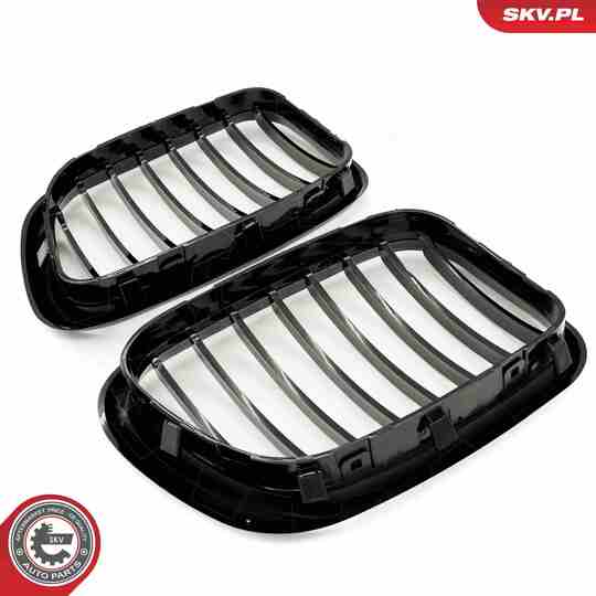 66SKV270 - Radiator Grille 