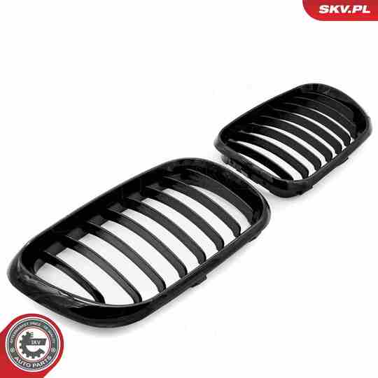 66SKV270 - Radiator Grille 