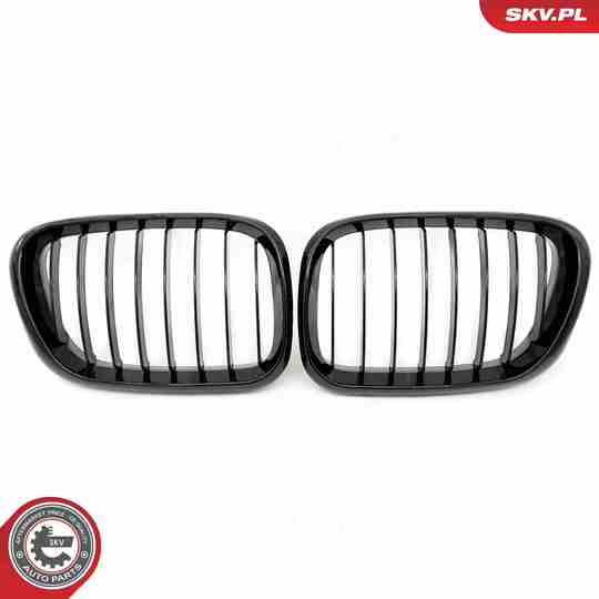 66SKV270 - Radiator Grille 