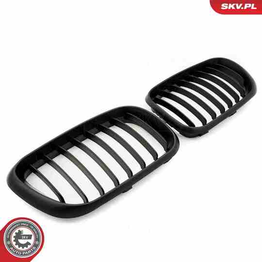 66SKV271 - Radiator Grille 