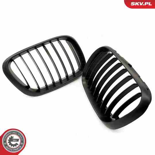 66SKV271 - Radiator Grille 