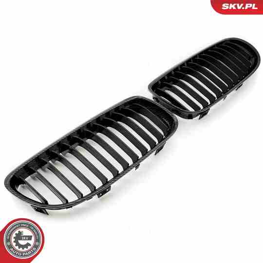 66SKV098 - Radiator Grille 