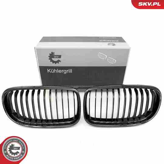 66SKV098 - Radiator Grille 