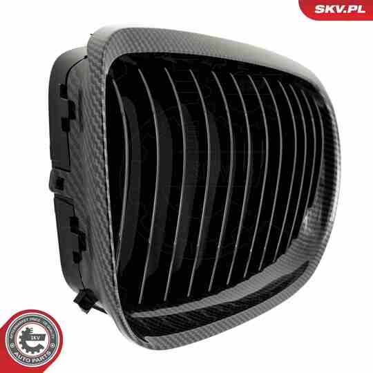 66SKV098 - Radiator Grille 