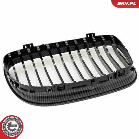 66SKV098 - Radiator Grille 