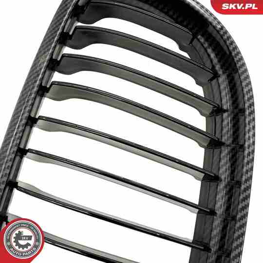 66SKV098 - Radiator Grille 