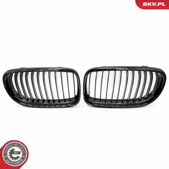 66SKV098 - Radiator Grille 