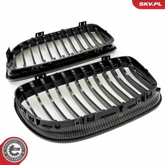 66SKV098 - Radiator Grille 