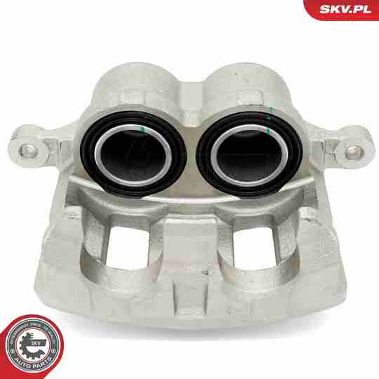 56SKV821 - Brake Caliper 