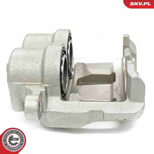 56SKV821 - Brake Caliper 