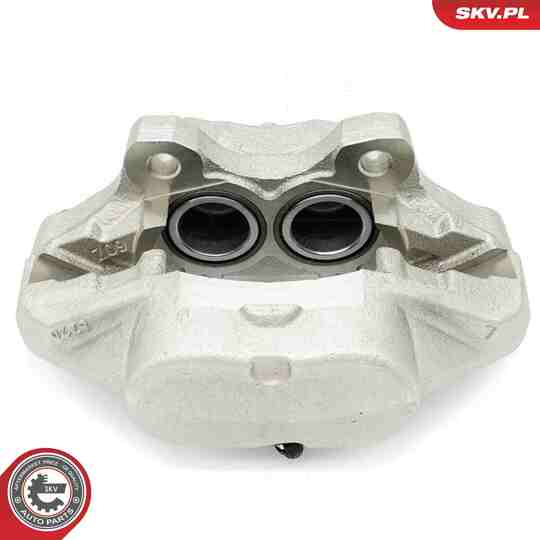 56SKV621 - Brake Caliper 