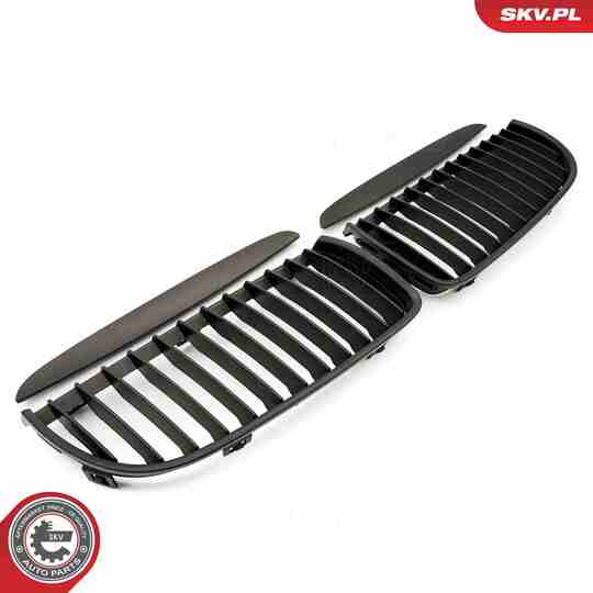 66SKV087 - Radiator Grille 