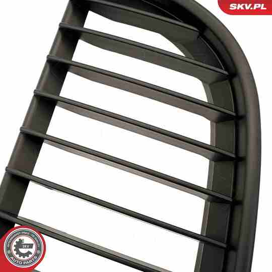 66SKV087 - Radiator Grille 