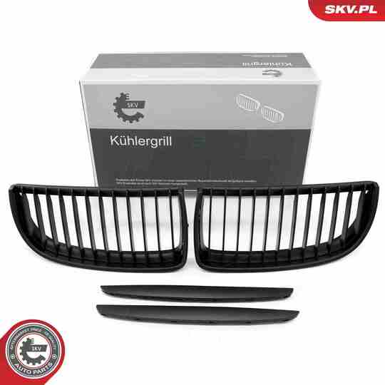 66SKV087 - Radiator Grille 