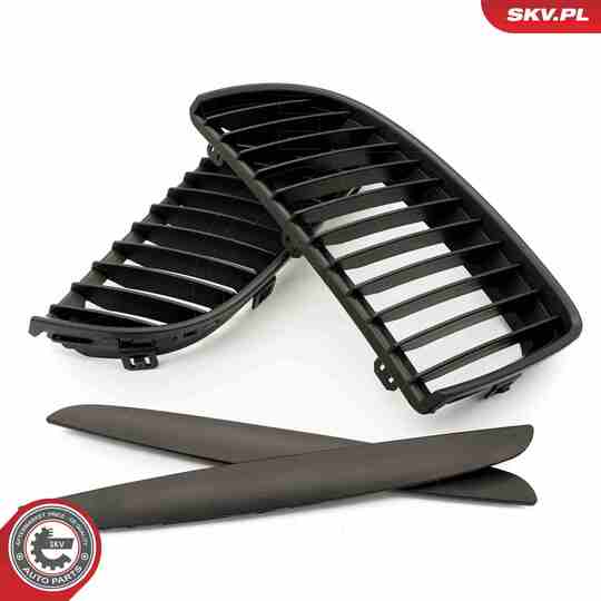 66SKV087 - Radiator Grille 