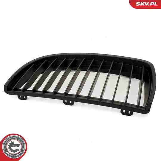 66SKV087 - Radiator Grille 