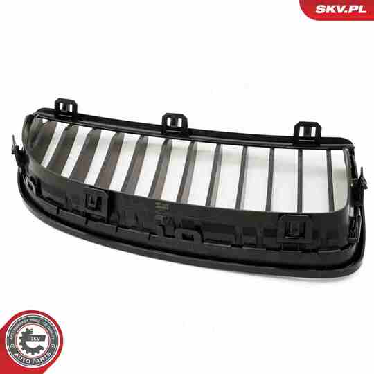 66SKV087 - Radiator Grille 