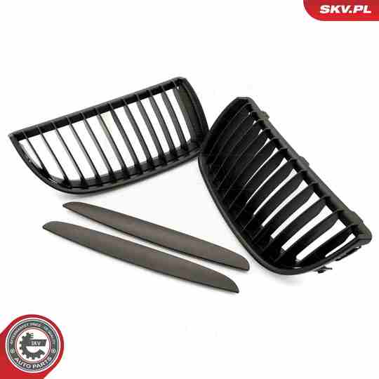 66SKV087 - Radiator Grille 