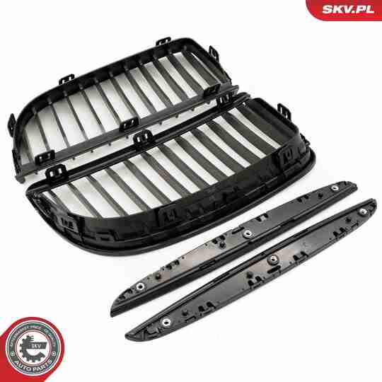 66SKV087 - Radiator Grille 