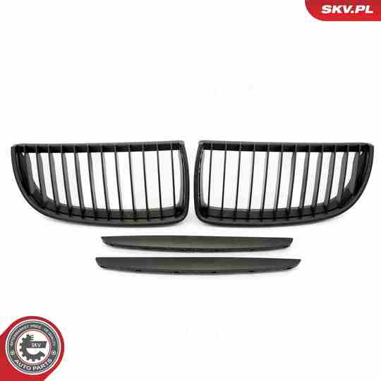 66SKV087 - Radiator Grille 