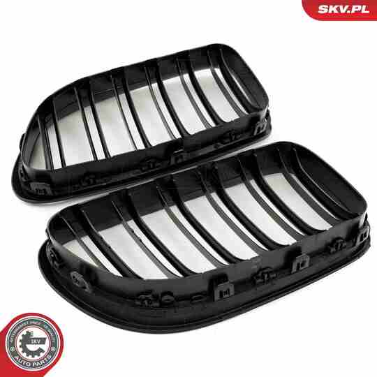 66SKV207 - Radiator Grille 