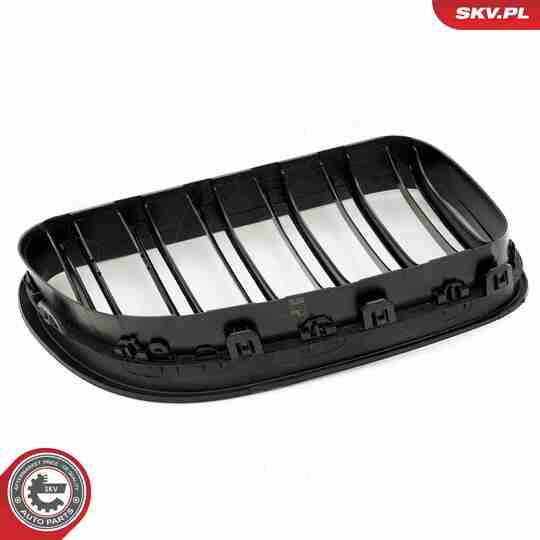 66SKV207 - Radiator Grille 