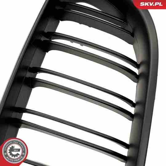 66SKV207 - Radiator Grille 