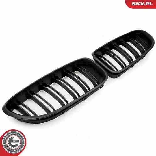 66SKV207 - Radiator Grille 