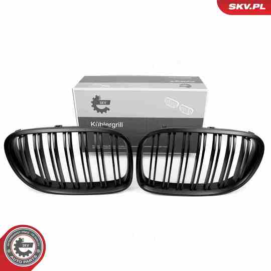 66SKV220 - Radiator Grille 