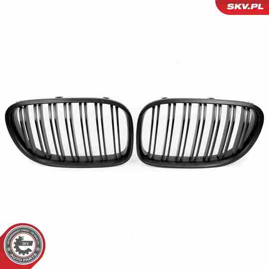 66SKV220 - Radiator Grille 