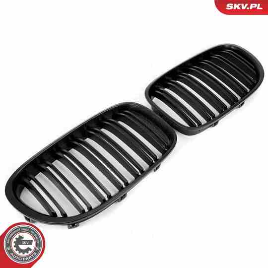 66SKV220 - Radiator Grille 