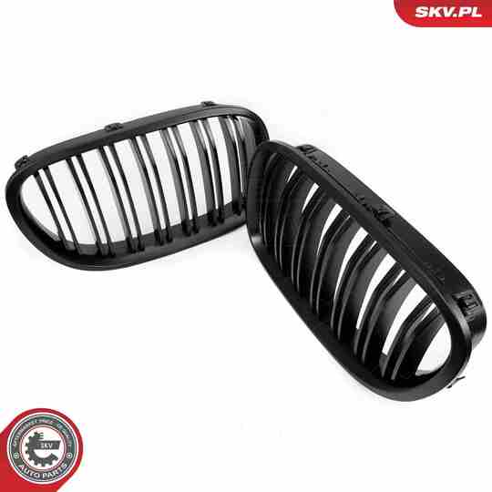 66SKV220 - Radiator Grille 