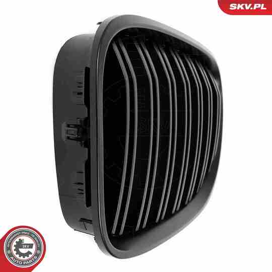 66SKV220 - Radiator Grille 