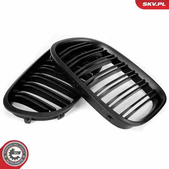 66SKV220 - Radiator Grille 