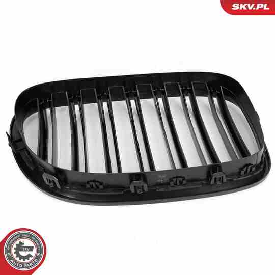 66SKV220 - Radiator Grille 