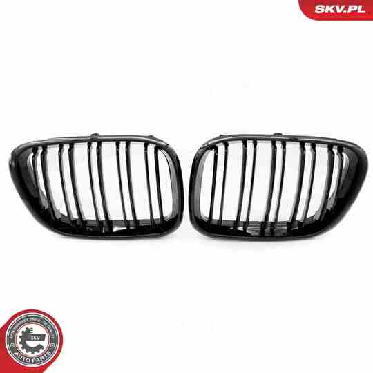 66SKV275 - Radiator Grille 