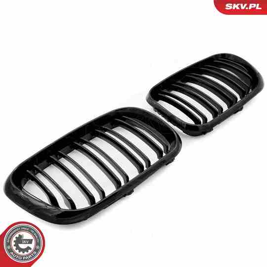 66SKV275 - Radiator Grille 