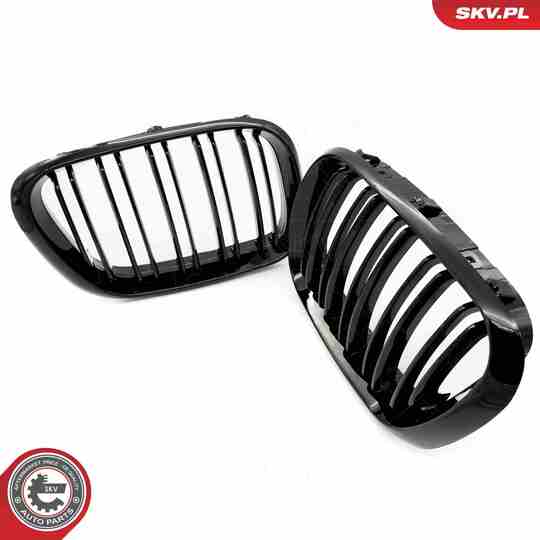 66SKV275 - Radiator Grille 