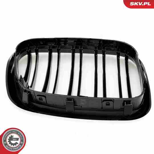 66SKV275 - Radiator Grille 