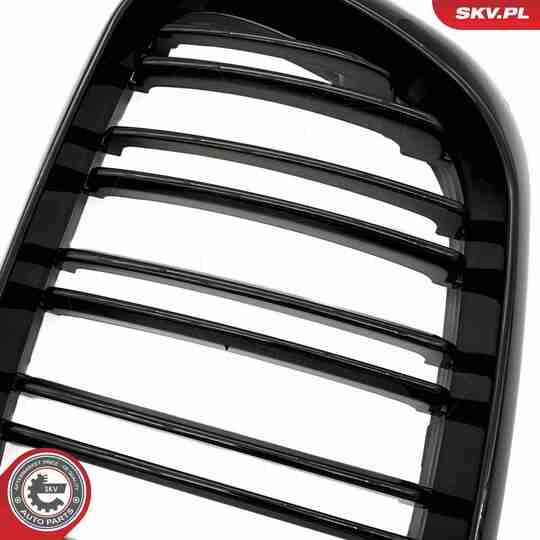 66SKV275 - Radiator Grille 