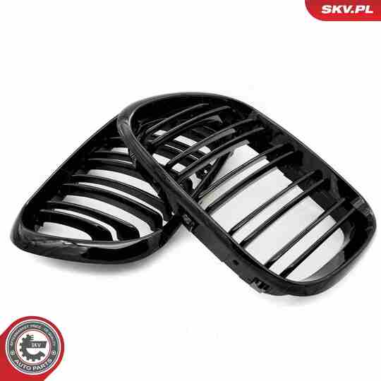 66SKV275 - Radiator Grille 