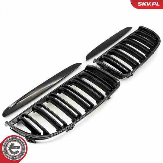 66SKV092 - Radiator Grille 