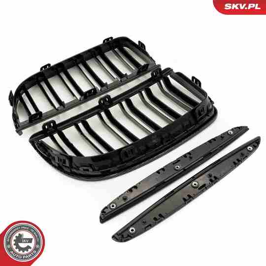 66SKV092 - Radiator Grille 