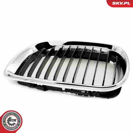 66SKV079 - Radiator Grille 